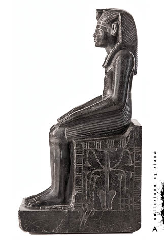 cartolina faraone