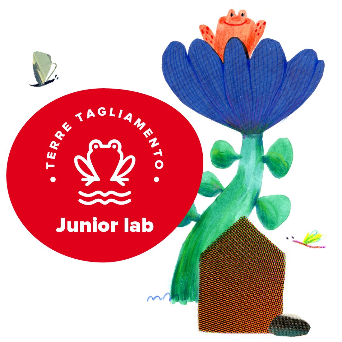 Social card TT Junior lab_Tavola disegno 1